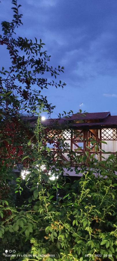 Guest House Albatros Cholpon-Ata Exterior photo