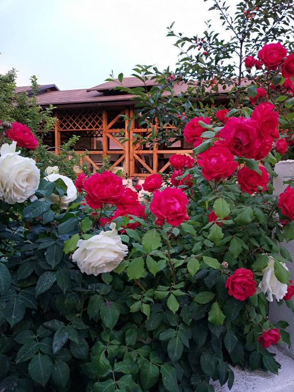 Guest House Albatros Cholpon-Ata Exterior photo