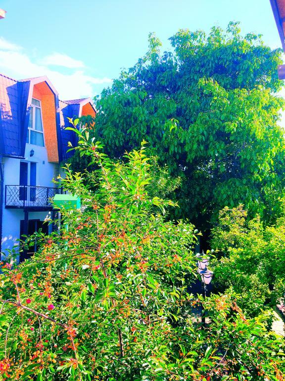 Guest House Albatros Cholpon-Ata Exterior photo