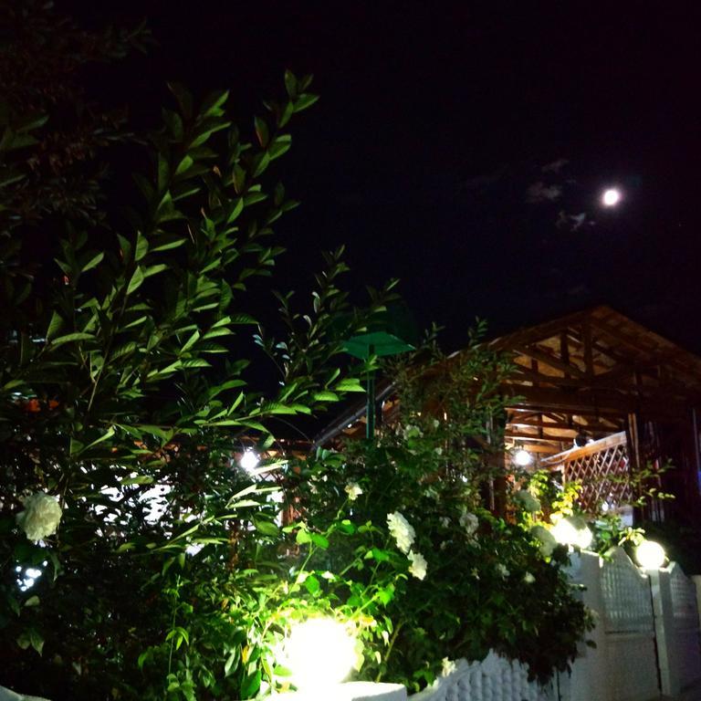 Guest House Albatros Cholpon-Ata Exterior photo